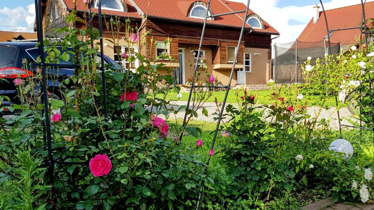 Lend Apartment Miercurea Ciuc Zewnętrze zdjęcie